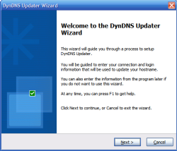 The first page of DynDNS Update wizard